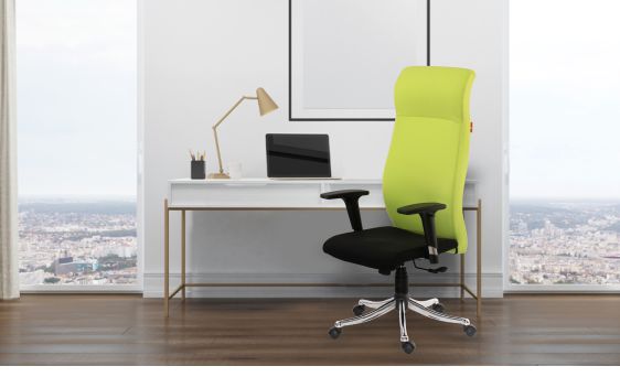 ergonomic office chairs bangalore