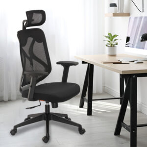 DOLPHIN HIGH BACK REVOLVING CHAIR : Best Ergonomic Office Chair