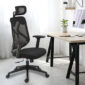DOLPHIN HIGH BACK REVOLVING CHAIR : Best Ergonomic Office Chair
